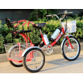 26 Inch 36V Electro-Tricycle